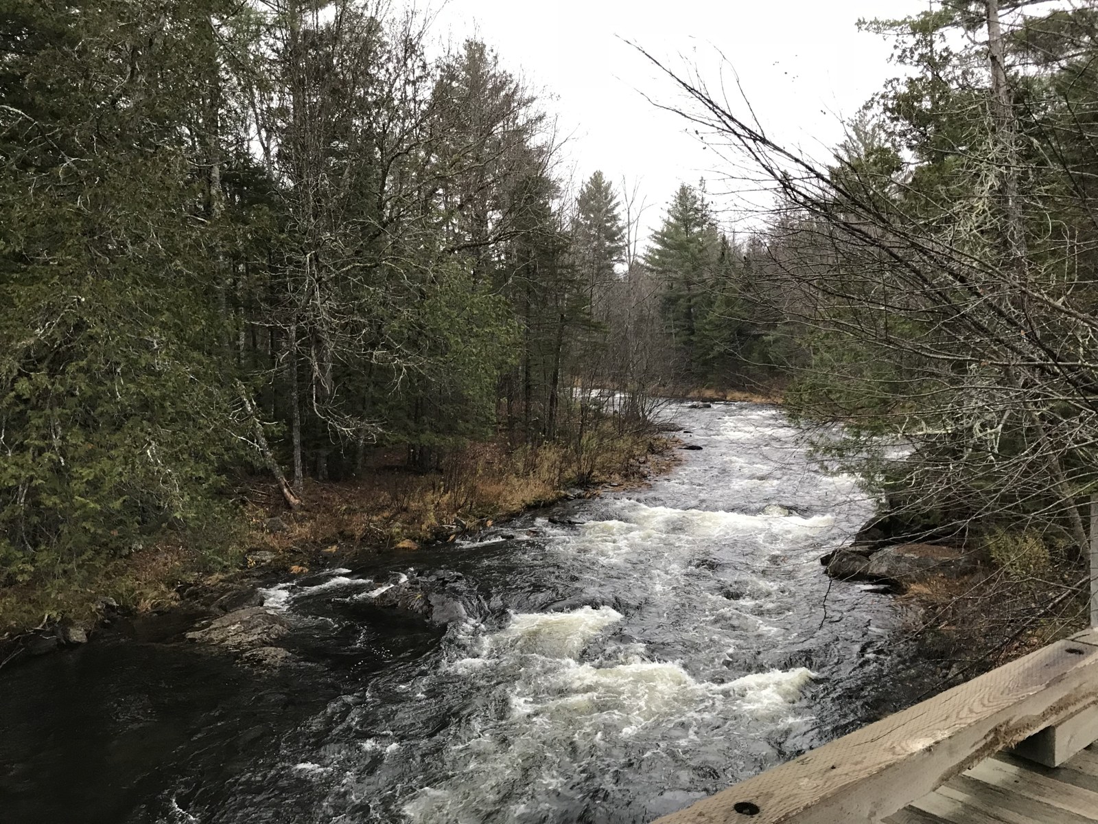 The river running through the Maine woods